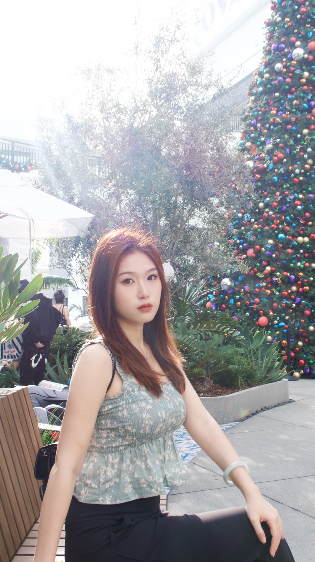 Portrait of Zijing Lu